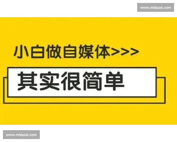 自媒体入门教程百度网盘免费下载全攻略轻松上手快速入门